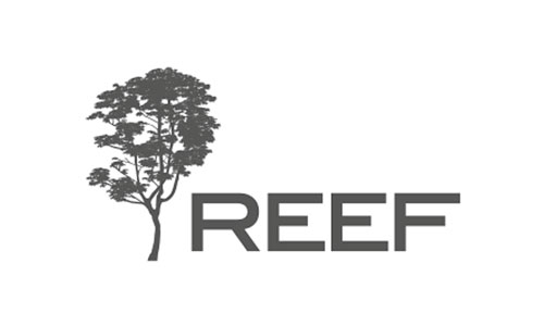 reef logo